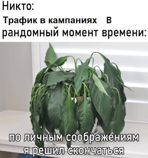 
                    11 вредных советов, чтобы слить рекламный бюджет и не получить результатов            