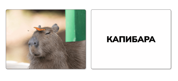 
                    Картинки в креативе собирают охваты, а ты нет            