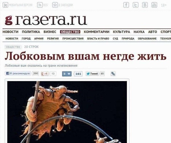 Простые примеры эффективных заголовков для постов и рекламных офферов в телеграм
Простые примеры эффективных заголовков для постов и рекламных офферов в телеграм