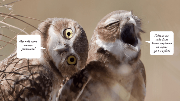 
                    Как настроить оптимальную модель работы с заказчиками текстов:   пять правил для комфортной коммуникации            