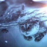 
                    Как настроить оптимальную модель работы с заказчиками текстов:   пять правил для комфортной коммуникации            