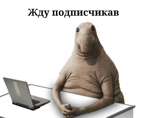 
                    Как прогреть аудиторию в телеграм, чтобы точно купили + бонус 35 идей для эффективного прогрева            