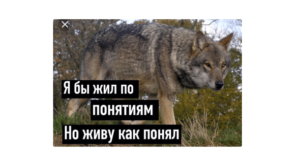Как выжить в мире СМИ и опубликовать статью: инструкция для компаний
Как выжить в мире СМИ и опубликовать статью: инструкция для компаний