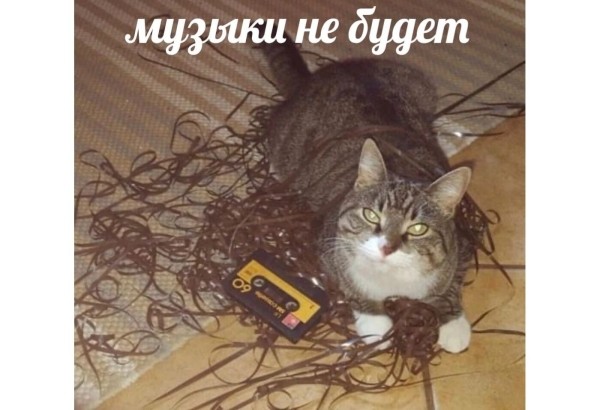 Провальные стартапы техногигантов: как не повторить ошибки Google, Microsoft и Amazon
Провальные стартапы техногигантов: как не повторить ошибки Google, Microsoft и Amazon