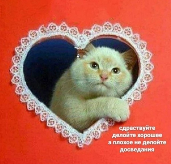 Все делают это молча: «правда»™ о ссылках и ПФ для SEO
Все делают это молча: «правда»™ о ссылках и ПФ для SEO