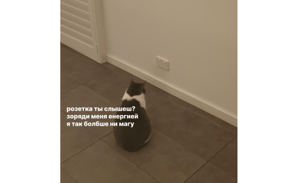 Провальные стартапы техногигантов: как не повторить ошибки Google, Microsoft и Amazon
Провальные стартапы техногигантов: как не повторить ошибки Google, Microsoft и Amazon