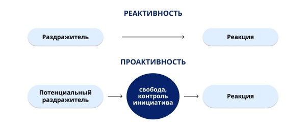 
                    Как нехватка проактивности может убить проект            