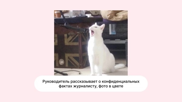 Топ провалов пиарщиков: в какие истории попадали СЕО и менеджеры PR-агентств
Топ провалов пиарщиков: в какие истории попадали СЕО и менеджеры PR-агентств