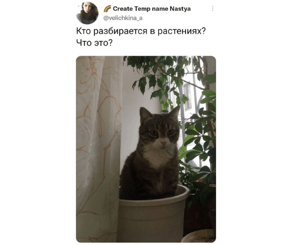 Провальные стартапы техногигантов: как не повторить ошибки Google, Microsoft и Amazon
Провальные стартапы техногигантов: как не повторить ошибки Google, Microsoft и Amazon