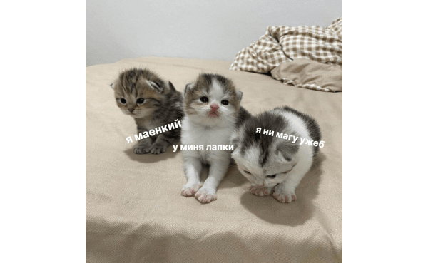 Провальные стартапы техногигантов: как не повторить ошибки Google, Microsoft и Amazon
Провальные стартапы техногигантов: как не повторить ошибки Google, Microsoft и Amazon