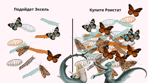 
                    Объясняю на гусеничках: как сделать сквозную аналитику понятной для предпринимателя и полезной для бизнеса            