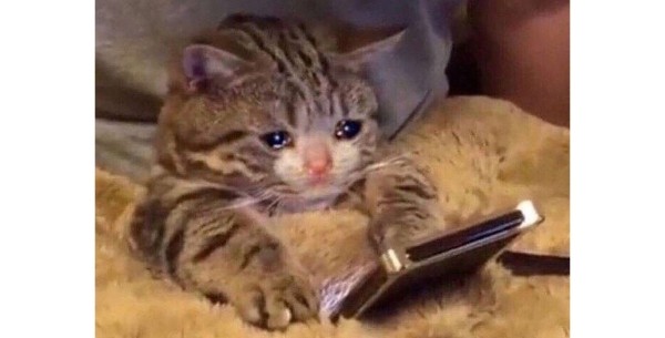 Провальные стартапы техногигантов: как не повторить ошибки Google, Microsoft и Amazon
Провальные стартапы техногигантов: как не повторить ошибки Google, Microsoft и Amazon