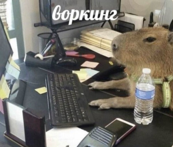 
                    Почему чаще всего выгорают креативщики?            