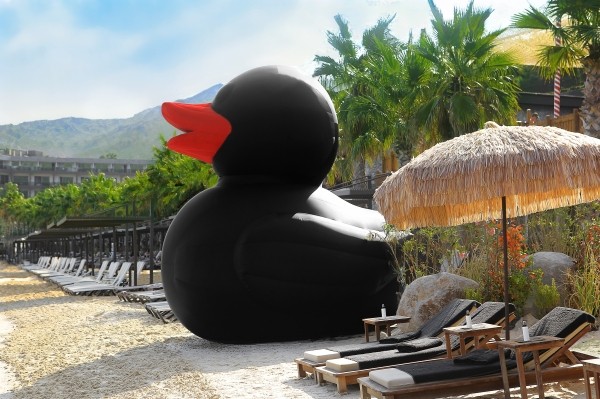 
                    Коты, утки, виртуальные персонажи — для чего брендам нужны маскоты            