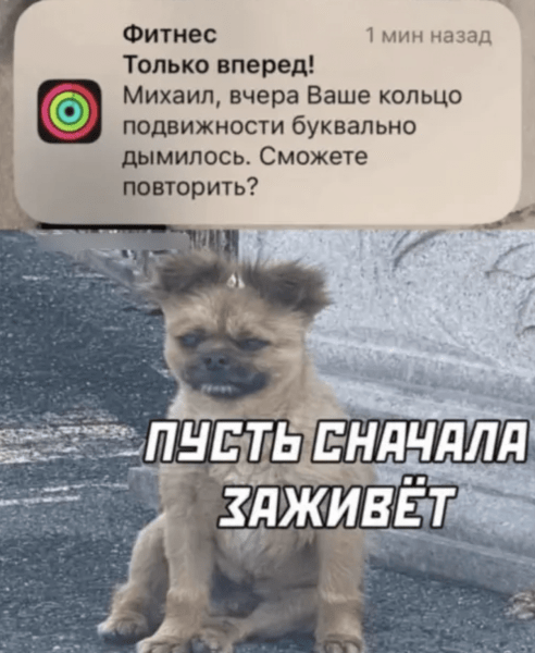 
                    ✅14 push-уведомлений, которые полностью перевернули ожидания. Эпизод 2. Волнующая возможность            