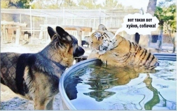 Как привлекать фанов на OnlyFans и Fancy с помощью таргетированной рекламы в InstagramFacebook. Кейс - инструкция
Как привлекать фанов на OnlyFans и Fancy с помощью таргетированной рекламы в InstagramFacebook. Кейс - инструкция