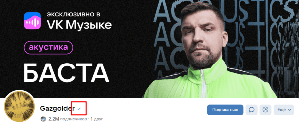 Ещё один способ получить галочку в VK
Ещё один способ получить галочку в VK