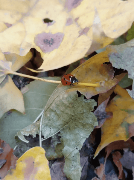 
                    Рассказываю, почему эти 5 статей минувшей недели  попали в ТОП на vc.ru, а твоя ― нет            