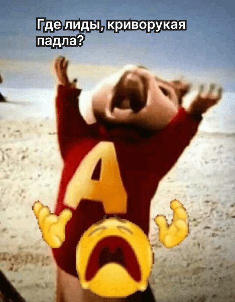 
                    «Можете уже прислать отчёт, а не кидаться скринами?»: почему важна прозрачность — кейс типографии в Яндекс Директе            