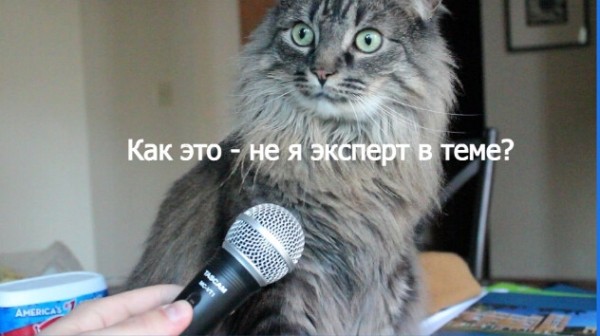 Почему кейсы работают эффективнее рекламы. Пошаговая инструкция “Как написать продающий кейс”
Почему кейсы работают эффективнее рекламы. Пошаговая инструкция “Как написать продающий кейс”