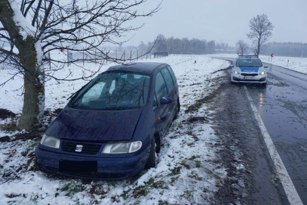 В Польше белорус на Seat слетел с дороги и врезался в дерево
