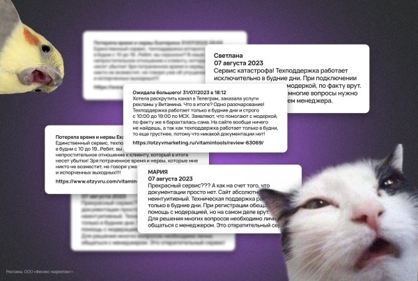 Зачем вы покупаете отзывы? История Vitamin.tools
Зачем вы покупаете отзывы? История Vitamin.tools