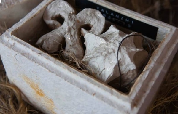 8 украинских стартапов на Web Summit в Лиссабоне