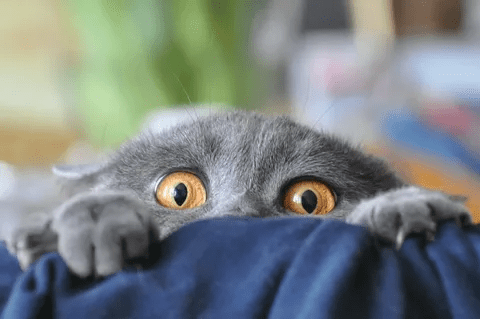 
                    Привлечение подписчиков по 90р на телеграм-канал эксперта по консалтингу. Реклама в телеграм            