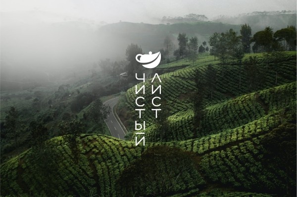 
                    Собрали на Тильде атмосферный магазин элитного китайского чая — и он принес заказчику 9 млн выручки за полгода            