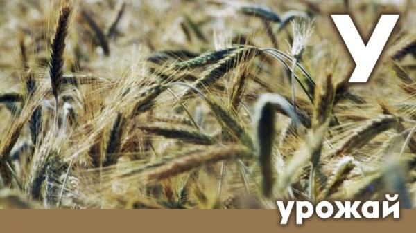 Азбука 2023: главные события уходящего года на рекламном рынке и не только