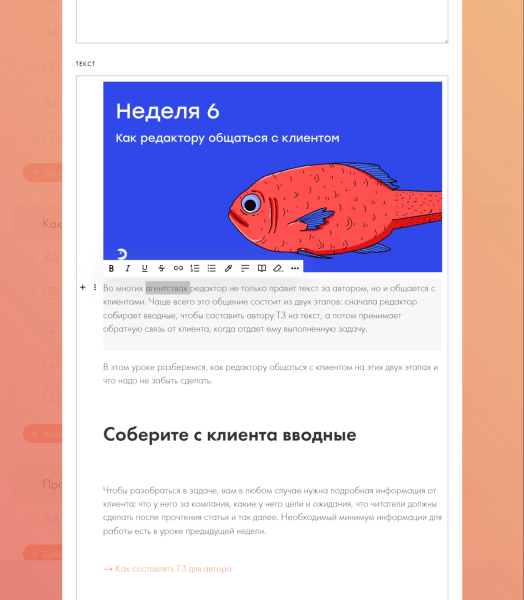 Большой гайд: как запустить свой курс на Тильде
Большой гайд: как запустить свой курс на Тильде