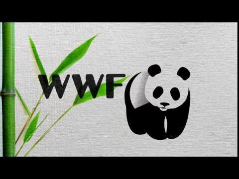 
                    Правда и ложь «зеленого» PR: от Гринписа до гринвошинга            