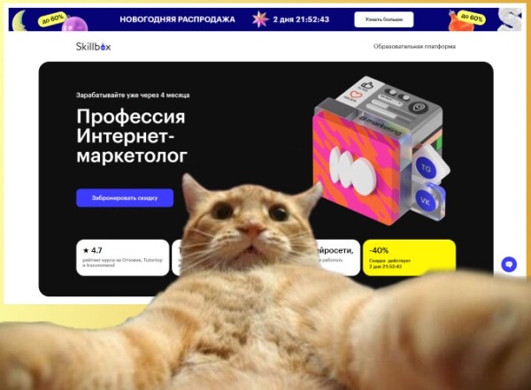 Онлайн-курсы по интернет-маркетингу для новичков в 2024 году
Онлайн-курсы по интернет-маркетингу для новичков в 2024 году