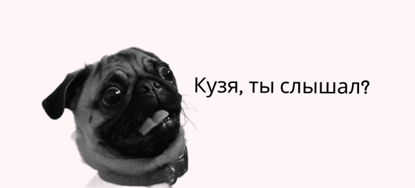 
                    Посевы в Телеграм. Кейс закупа в Телеграм для эксперта по автоворонкам            