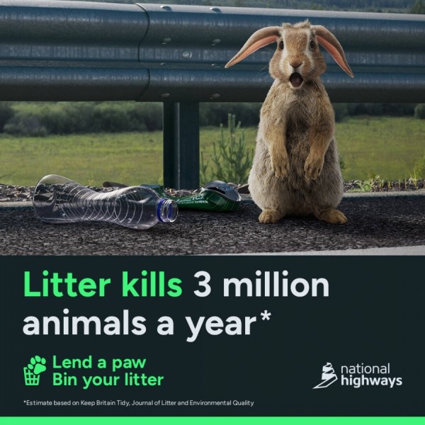 «Протяни лапу»: в Великобритании запустили социальную кампанию по защите животных