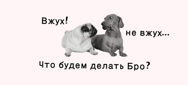 
                    Посевы в Телеграм. Кейс закупа в Телеграм для эксперта по автоворонкам            