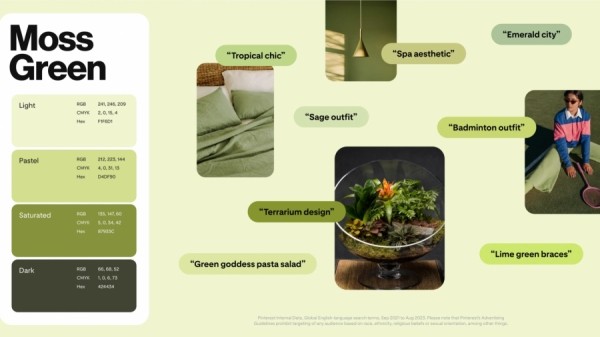 Pinterest назвал главные цвета 2024 года Pinterest назвал главные цвета 2024 года