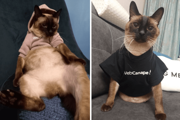 Четвероногие амбассадоры бренда: как мы сделали корпоративный мерч для животных
Четвероногие амбассадоры бренда: как мы сделали корпоративный мерч для животных