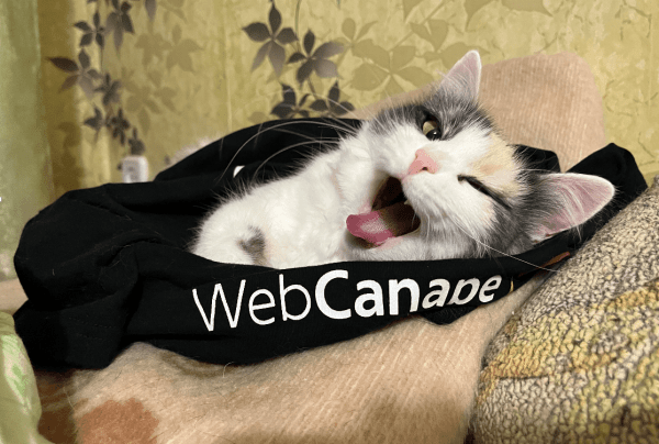 Четвероногие амбассадоры бренда: как мы сделали корпоративный мерч для животных
Четвероногие амбассадоры бренда: как мы сделали корпоративный мерч для животных