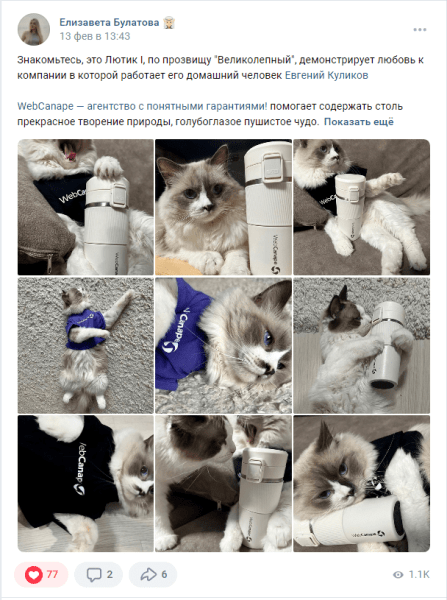 Четвероногие амбассадоры бренда: как мы сделали корпоративный мерч для животных
Четвероногие амбассадоры бренда: как мы сделали корпоративный мерч для животных