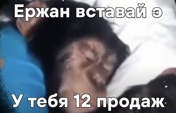 
                    Как мы сделали курс по VC и обосрались            