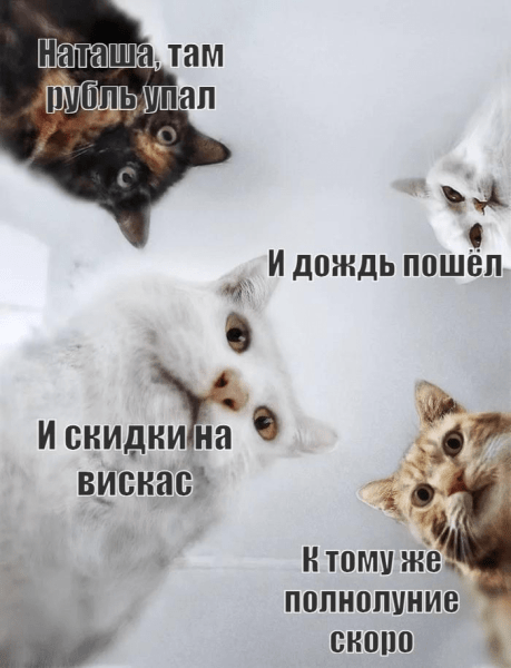 Пока вы просто читаете новости, я с их помощью продаю
Пока вы просто читаете новости, я с их помощью продаю