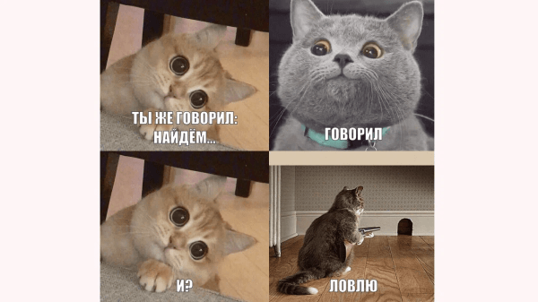 
                    Продаём квартиры в ипотеку на Пхукете через ВКонтакте: кейс клиента Vitamin.tools            