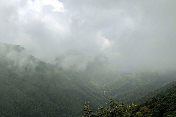Назван самый дождливый город в мире Назван самый дождливый город в мире