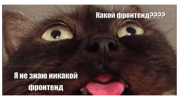 5 советов, которые мы хотели бы услышать, если бы сами заказывали разработку сайта
5 советов, которые мы хотели бы услышать, если бы сами заказывали разработку сайта