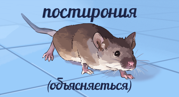 В мае пройдёт бесплатный интенсив по продажам на «Яндекс Маркете»: как на него попасть В мае пройдёт бесплатный интенсив по продажам на «Яндекс Маркете»: как на него попасть