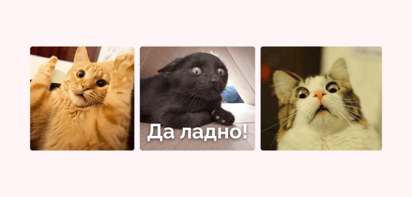 Кейс клиента Vitamin.tools: год продвигаем строительство домов на Авито — 28 612 заявок по 162 ₽ и 1,2 миллиарда выручки
Кейс клиента Vitamin.tools: год продвигаем строительство домов на Авито — 28 612 заявок по 162 ₽ и 1,2 миллиарда выручки