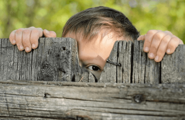 Подглядываем за конкурентами на Twitch
Подглядываем за конкурентами на Twitch