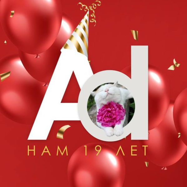 AdIndex отмечает День Рождения