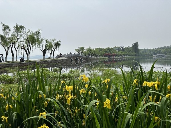 На каких машинах гоняют сами китайцы? Удивитесь, но в топе не только бренды из КНР! На каких машинах гоняют сами китайцы? Удивитесь, но в топе не только бренды из КНР!